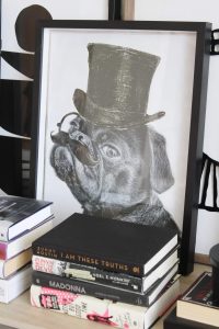 sarasota interior design